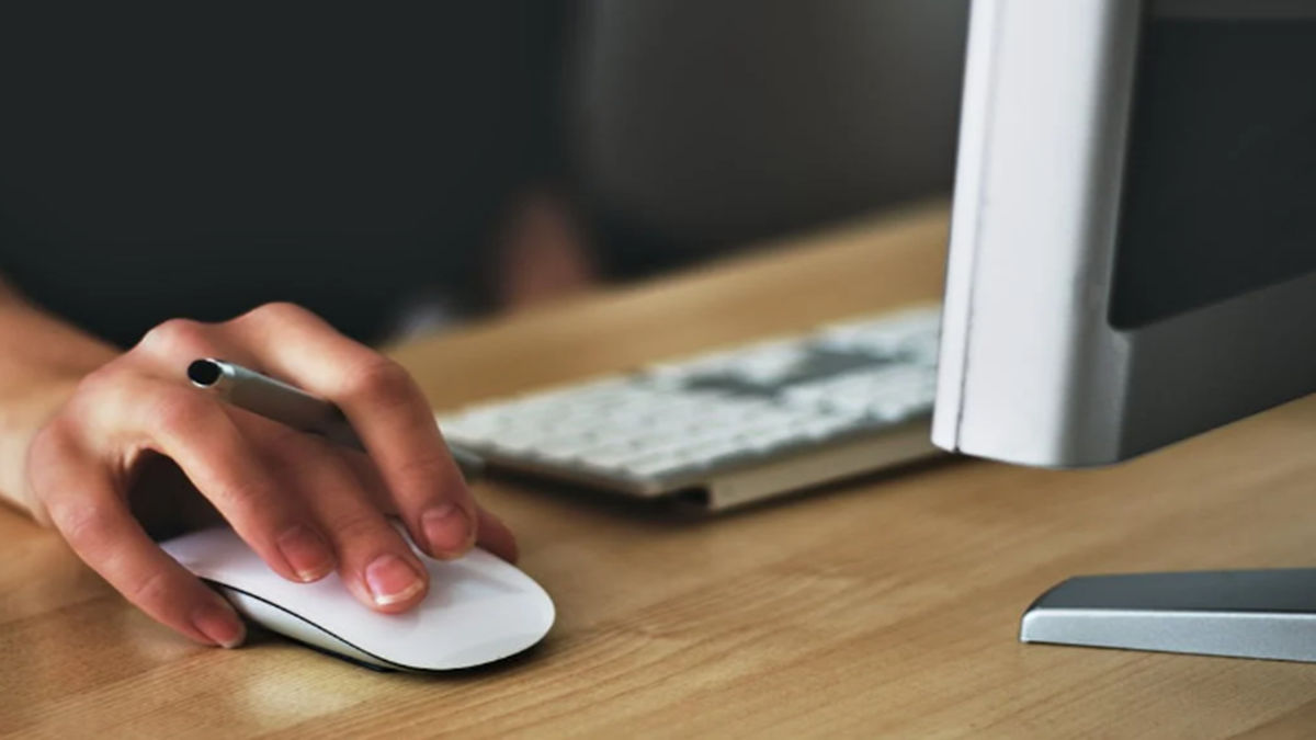 BMC Clerk Recruitment 2024