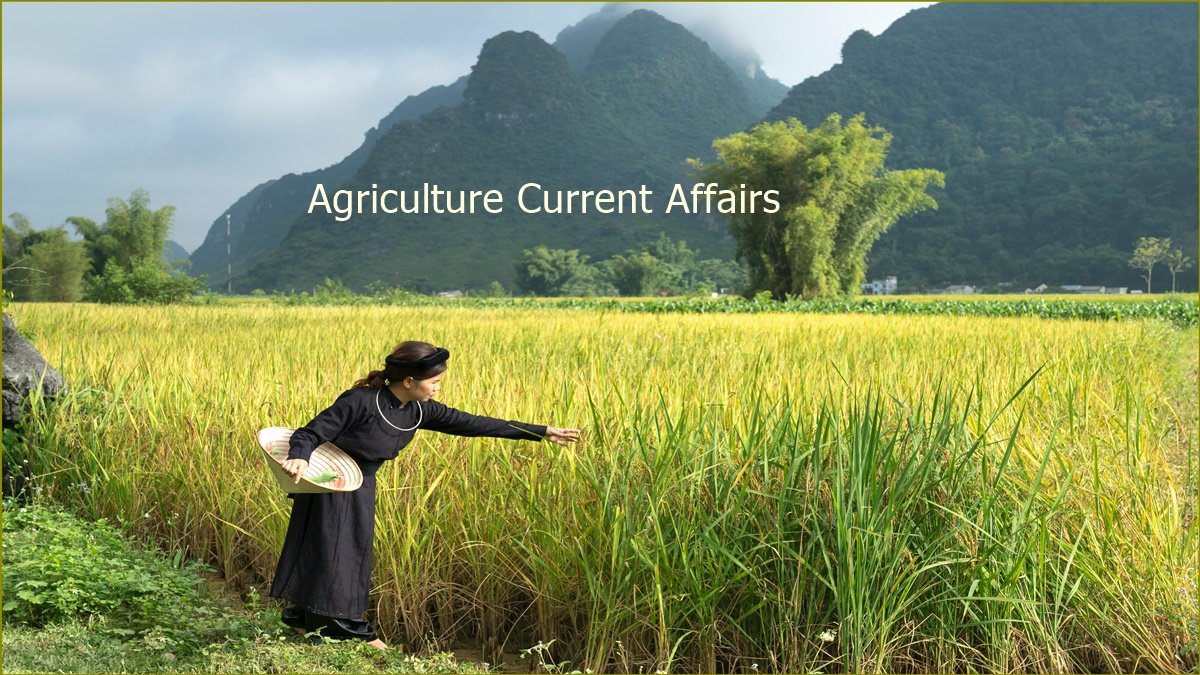 Agriculture Current Affairs