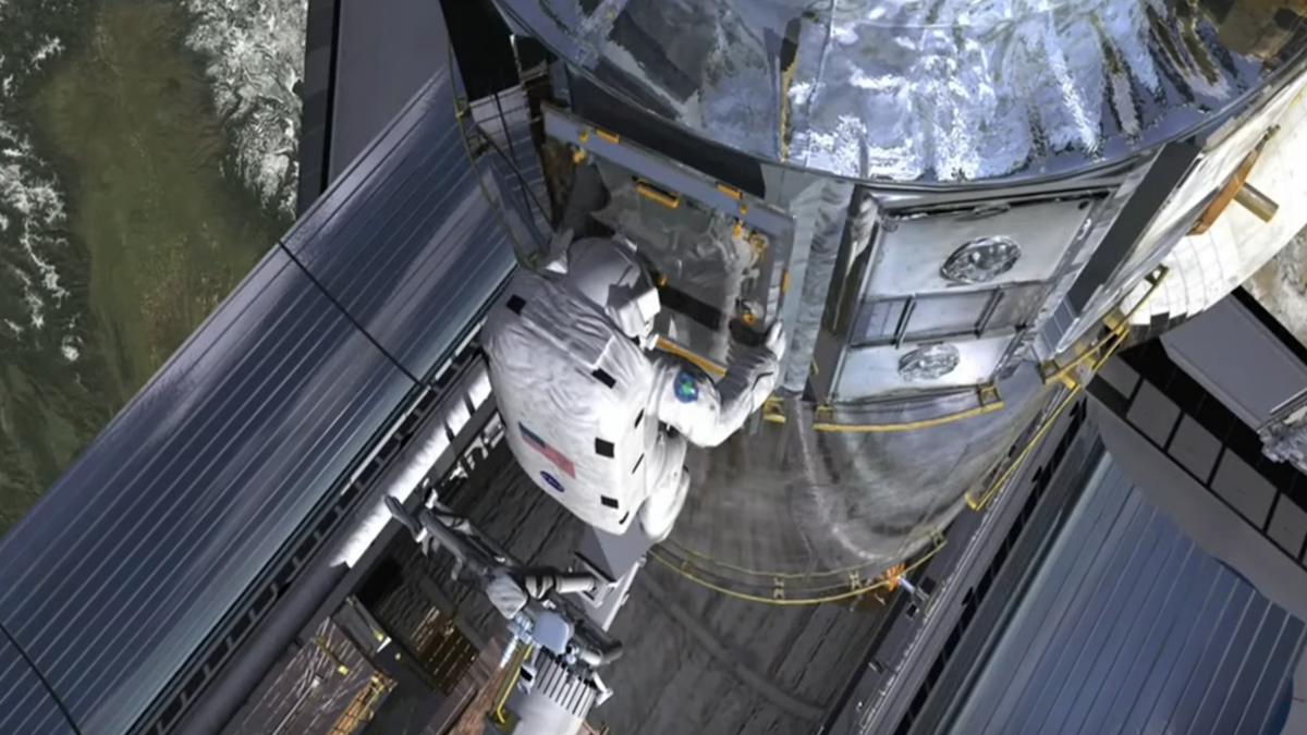 NASA Astronaut Sunita Williams