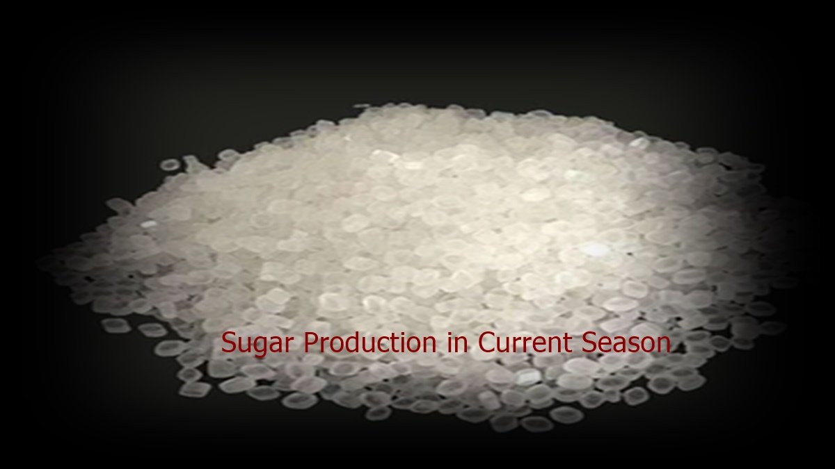 Sugar Production in Current Season