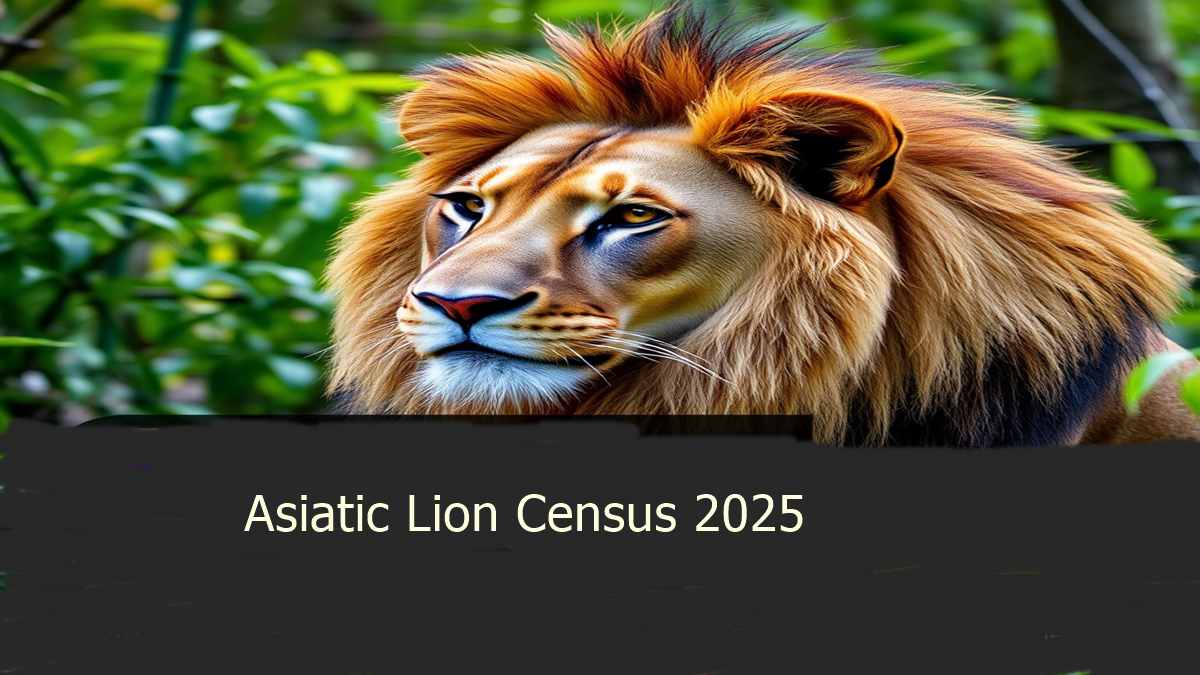 Asiatic Lion Census