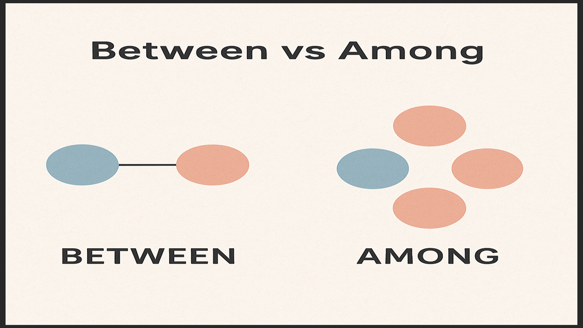 Difference Between Between vs Among Usage