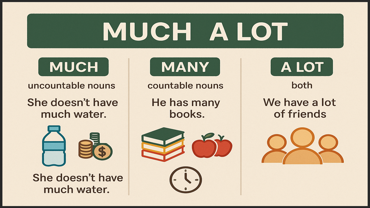 When to Use Much vs Many vs A Lot