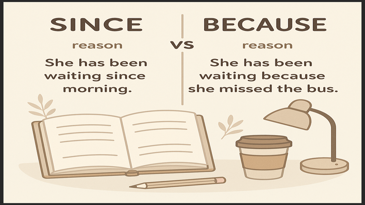 When to Use Since vs Because Grammar