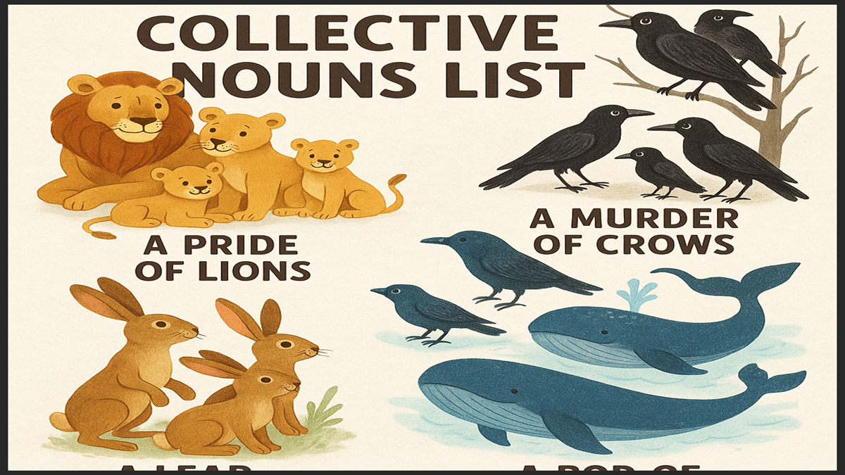 Collective Nouns List