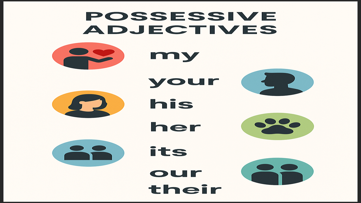 Possessive Adjectives