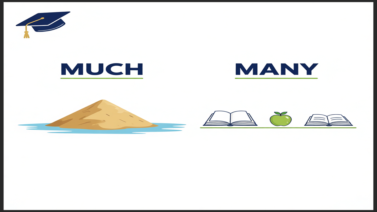 How to Use Much and Many