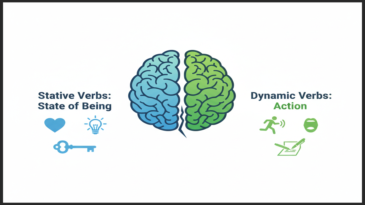 Identifying Stative Verbs vs Dynamic Verbs