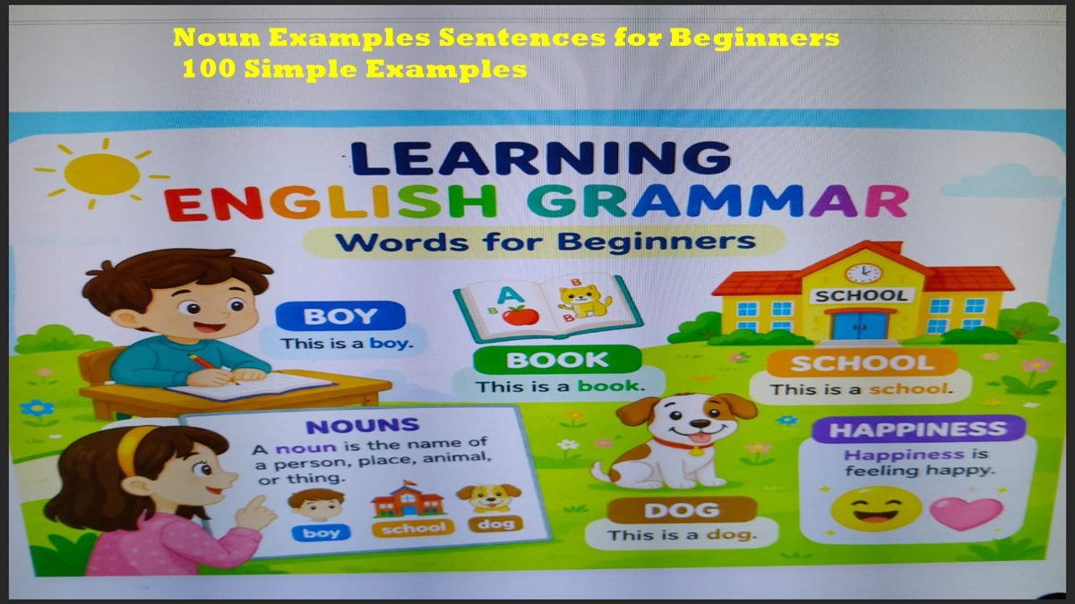 Noun Examples Sentences for Beginners