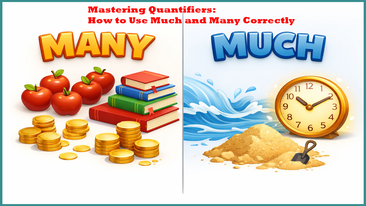 How to Use Much and Many Correctly