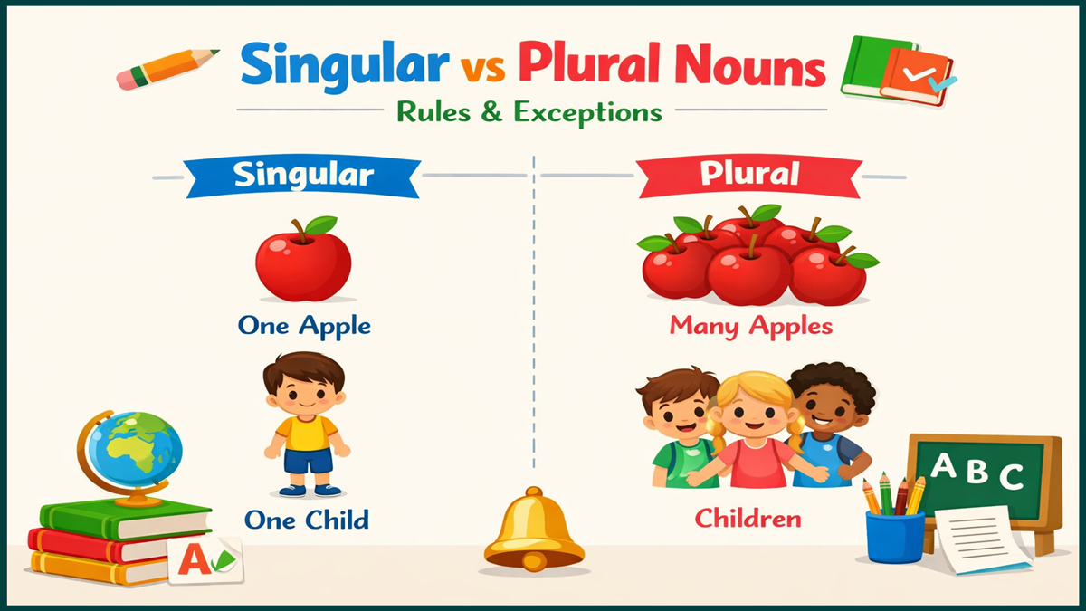 Singular vs Plural Nouns Rules and Exceptions