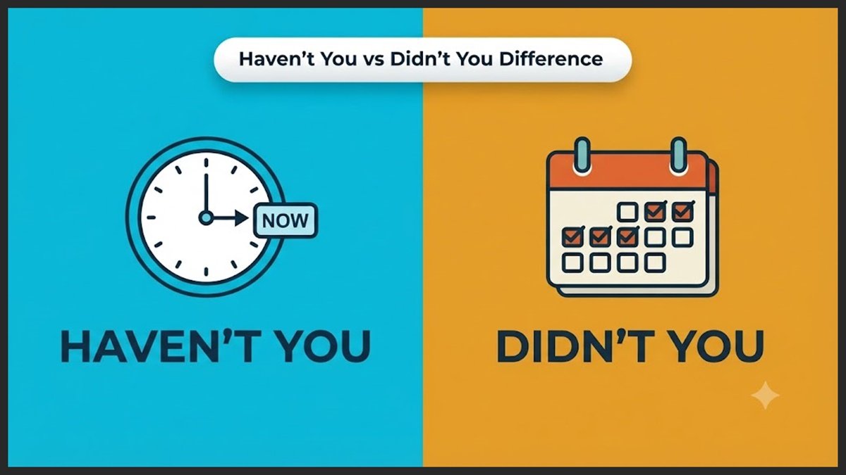 Haven't You vs Didn't You Difference